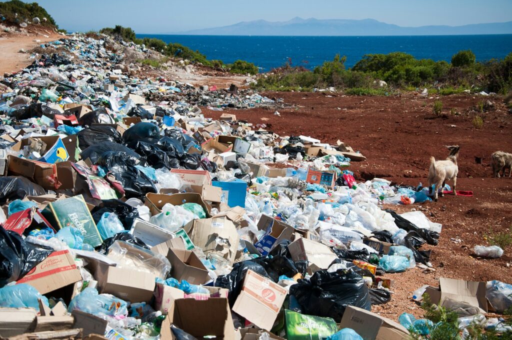 A photo of piles of plastic waste dumped on a beach in Albania. What is sustainability and why it matters?